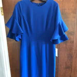 Royal Blue Donna Morgan Dress
